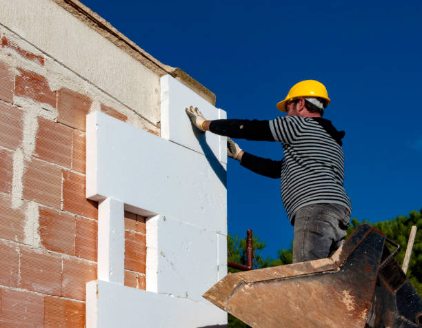 Best Eco-Friendly Insulation in Cortland West, NY