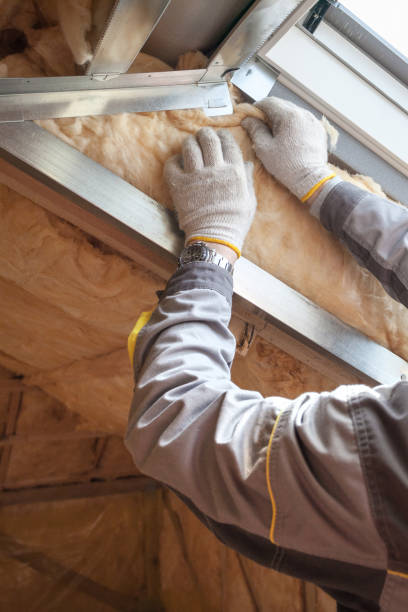 Best Cellulose Insulation in Cortland West, NY